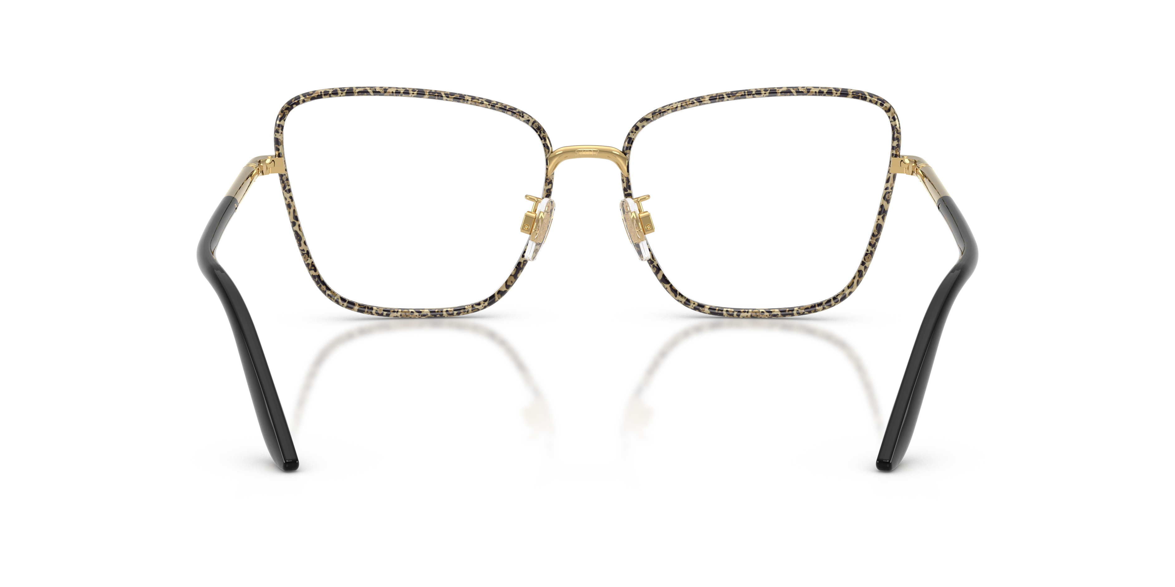 DOLCE &amp; GABBANA DG1359 1364 55