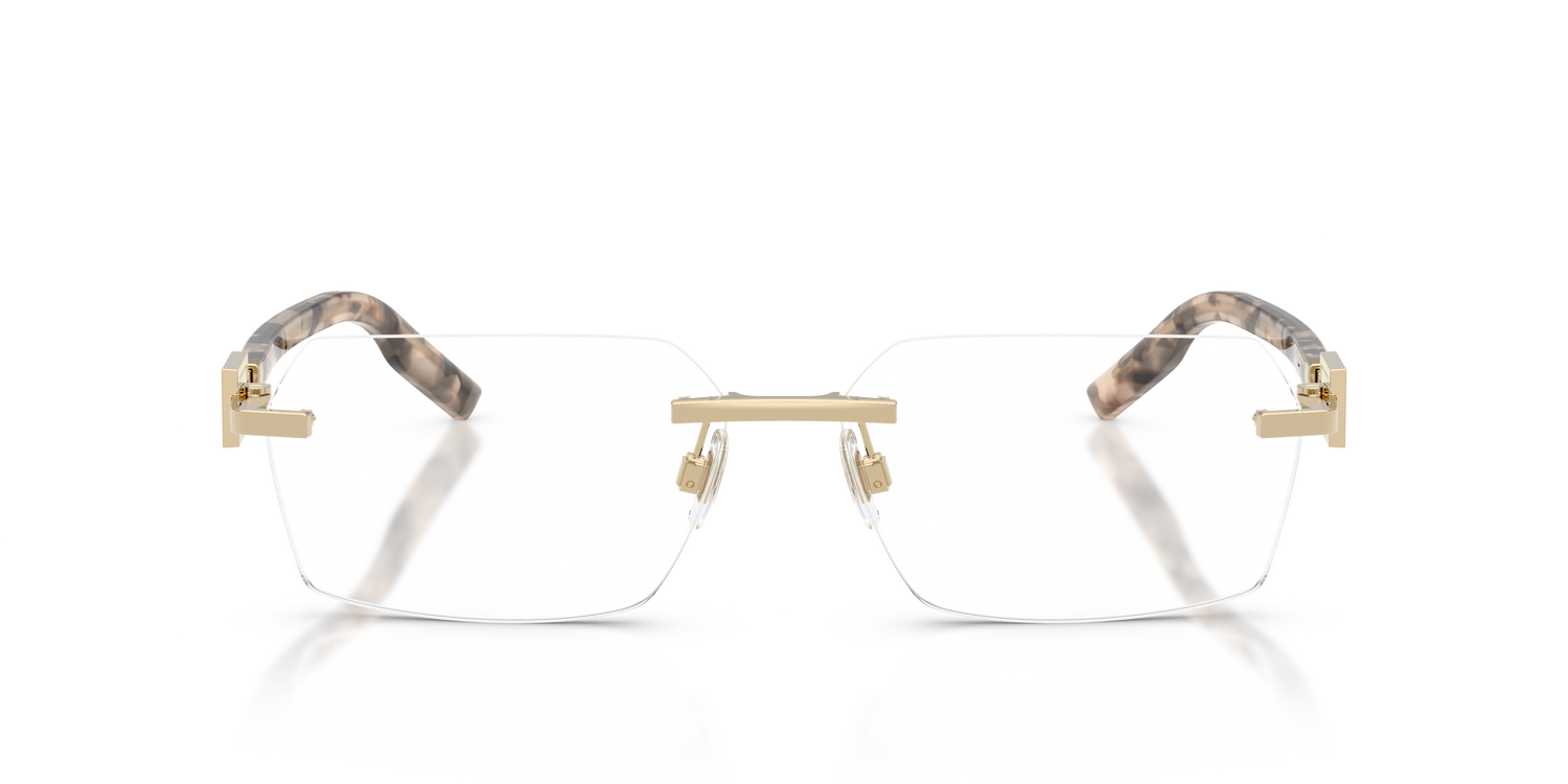 DOLCE &amp; GABBANA DG1361 488 60