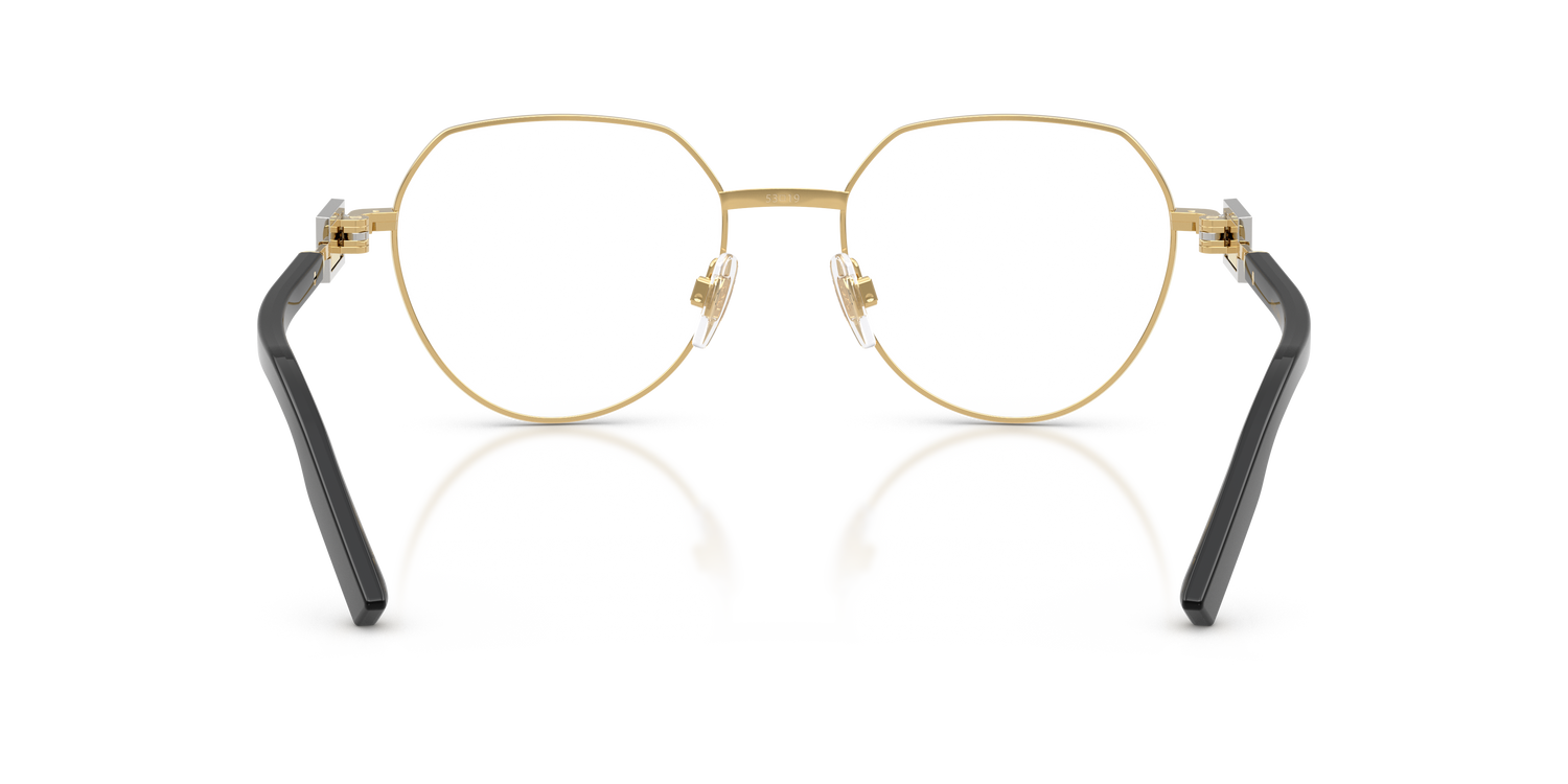 DOLCE &amp; GABBANA DG1362 02 51