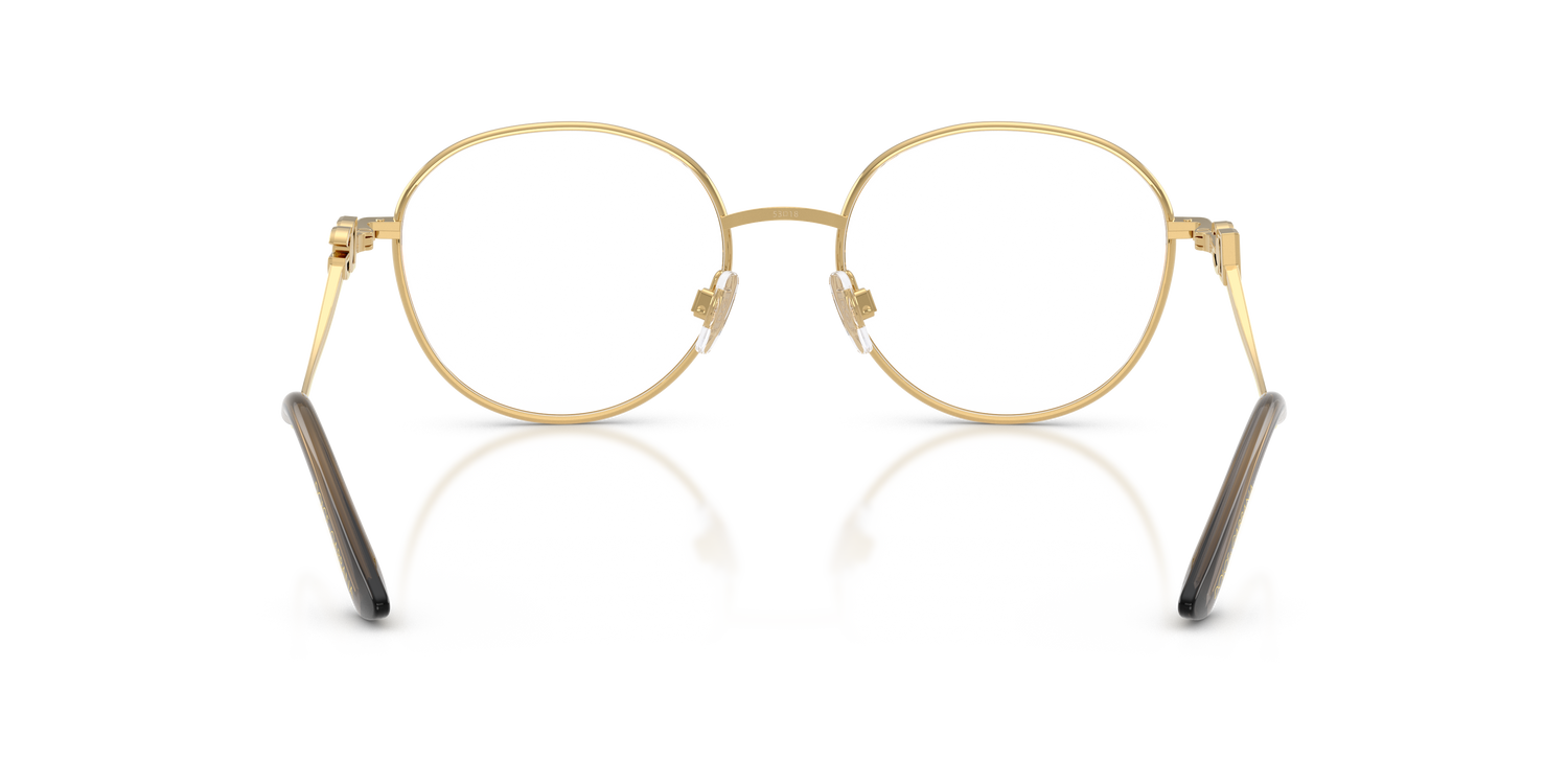 DOLCE &amp; GABBANA DG1365 1334 53