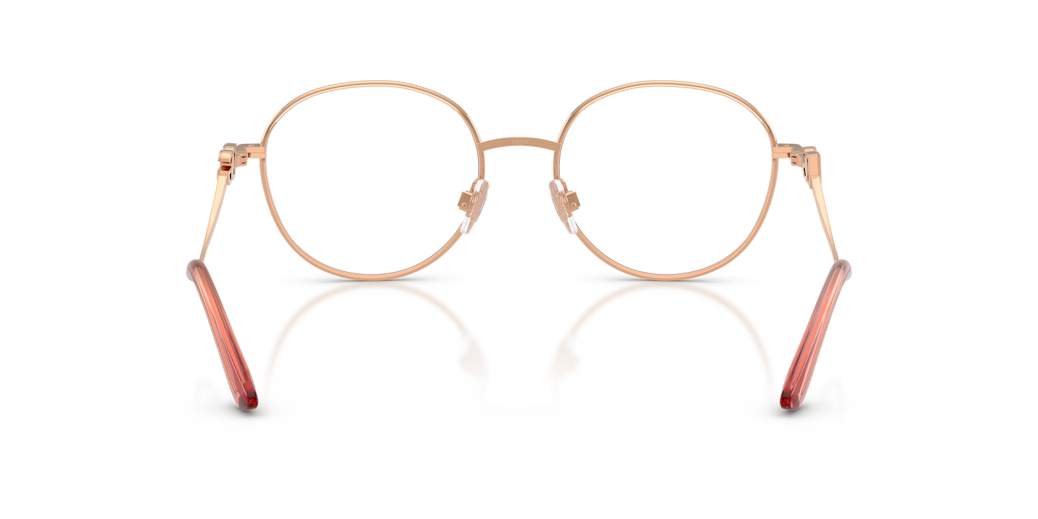 DOLCE &amp; GABBANA DG1365 1369 53