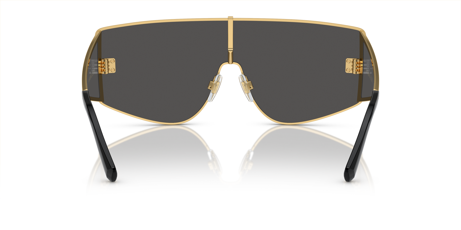 DOLCE &amp; GABBANA DG2305 02/87 44