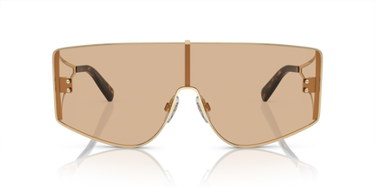 DOLCE &amp; GABBANA DG2305 13655A 44