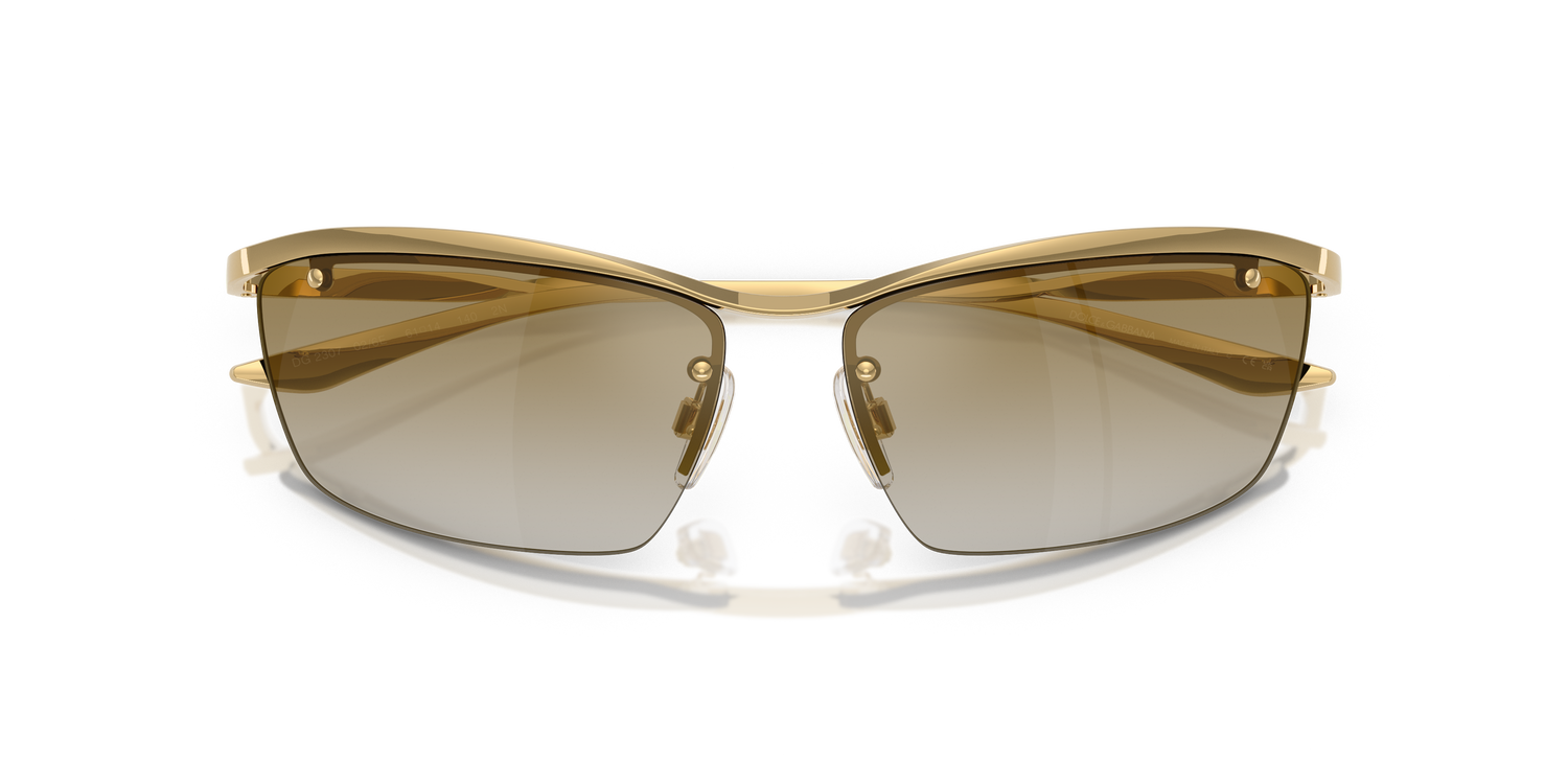 DOLCE &amp; GABBANA DG2307 02/6E 61