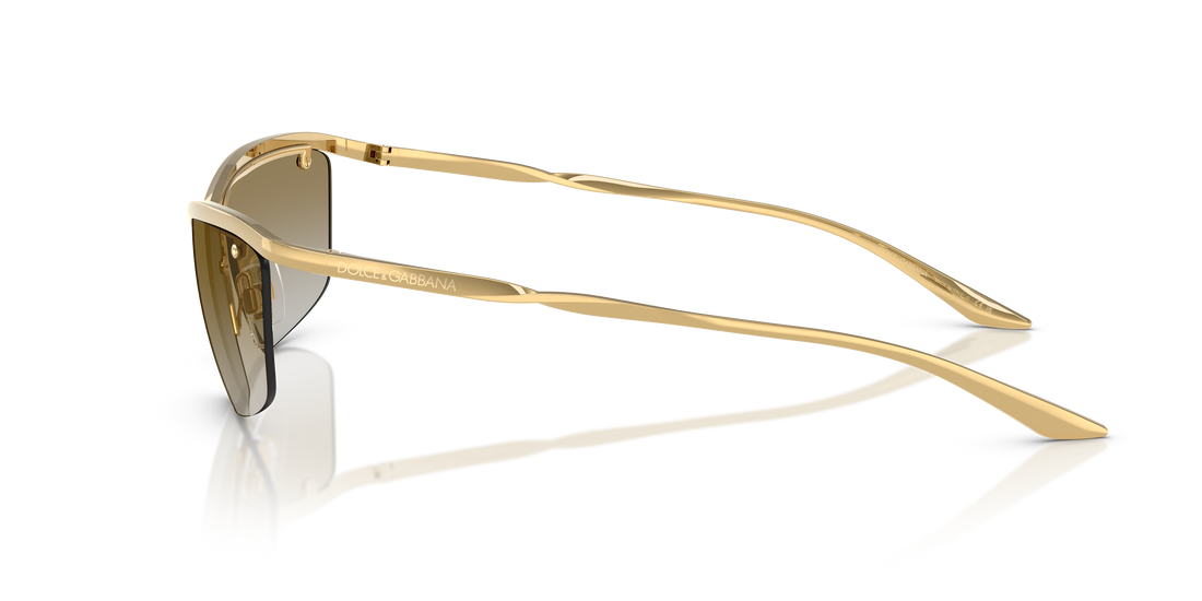 DOLCE &amp; GABBANA DG2307 02/6E 61