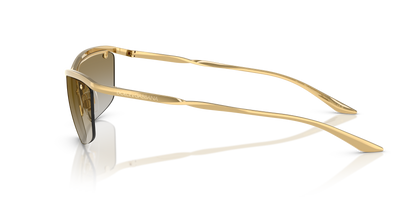 DOLCE &amp; GABBANA DG2307 02/6E 61