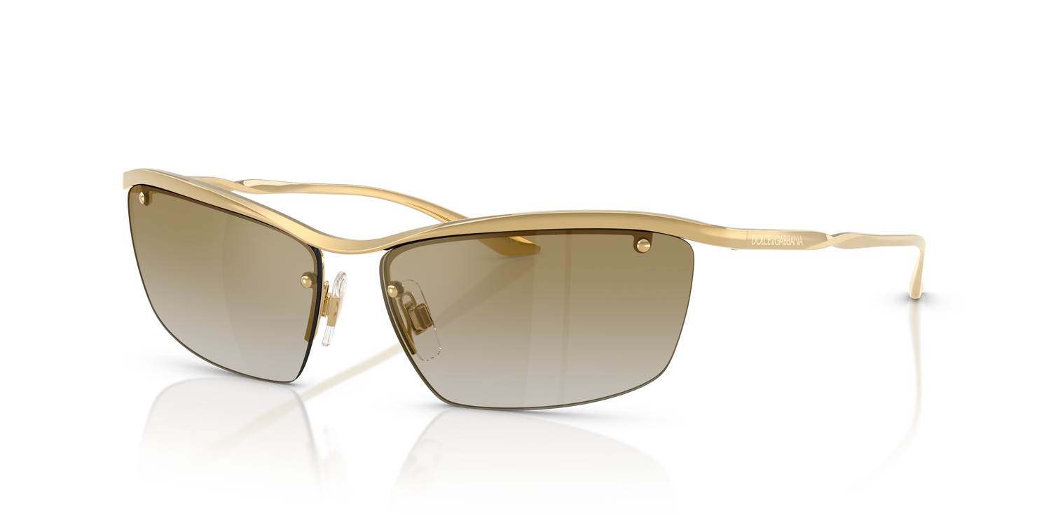 DOLCE &amp; GABBANA DG2307 02/6E 61