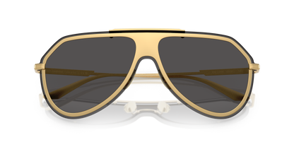 DOLCE &amp; GABBANA DG2309 02/87 43