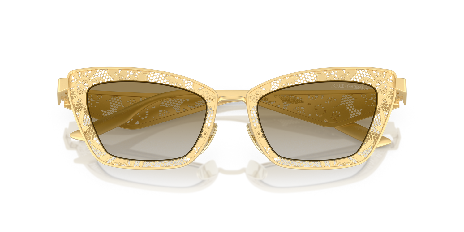 DOLCE &amp; GABBANA DG2311 12246E 51