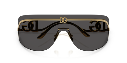 DOLCE &amp; GABBANA DG2320 02/87 40