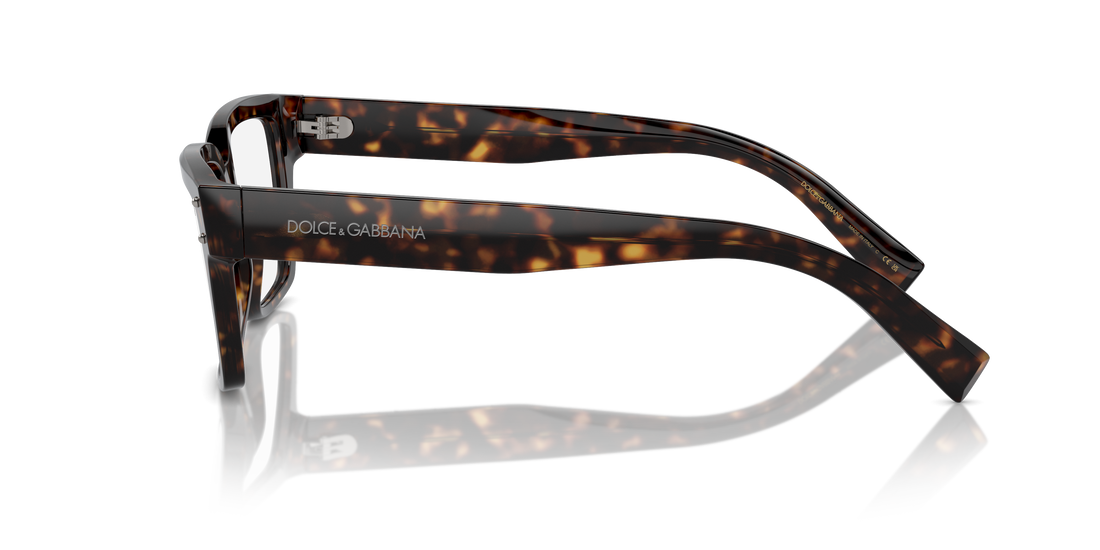 DOLCE &amp; GABBANA DG3383 502 55