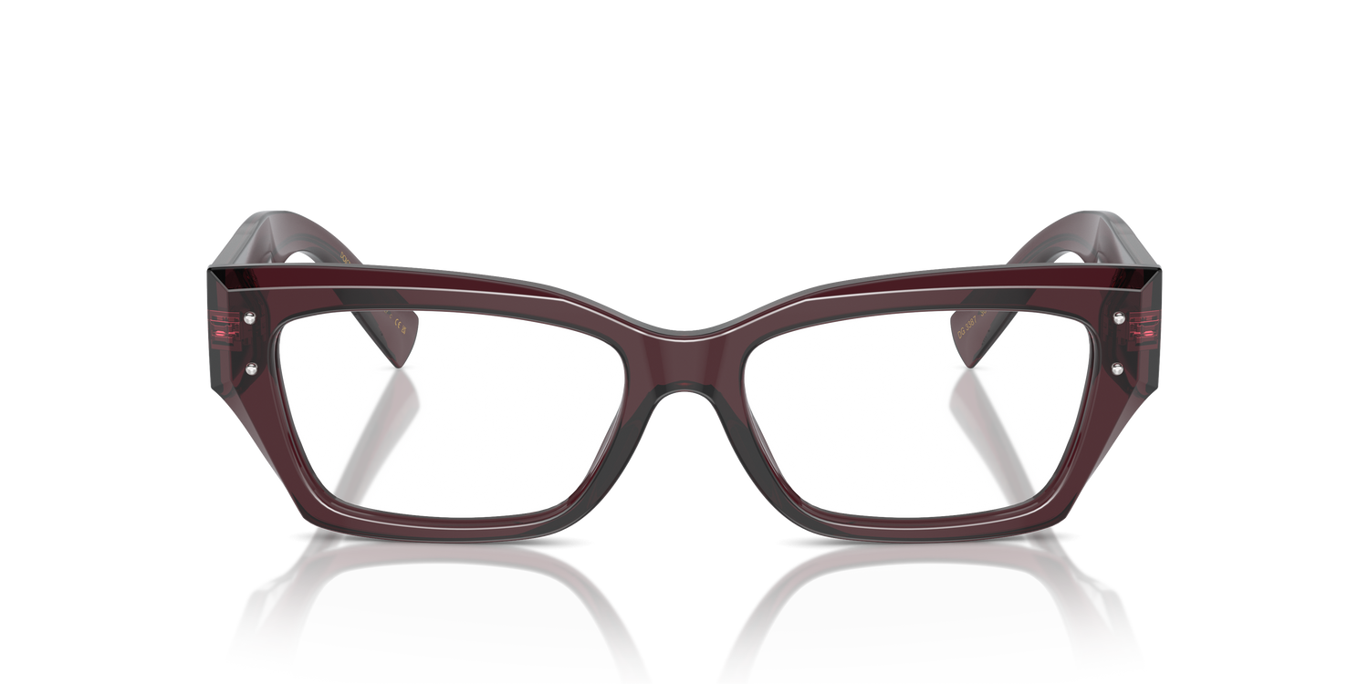 DOLCE &amp; GABBANA DG3387 3045 51