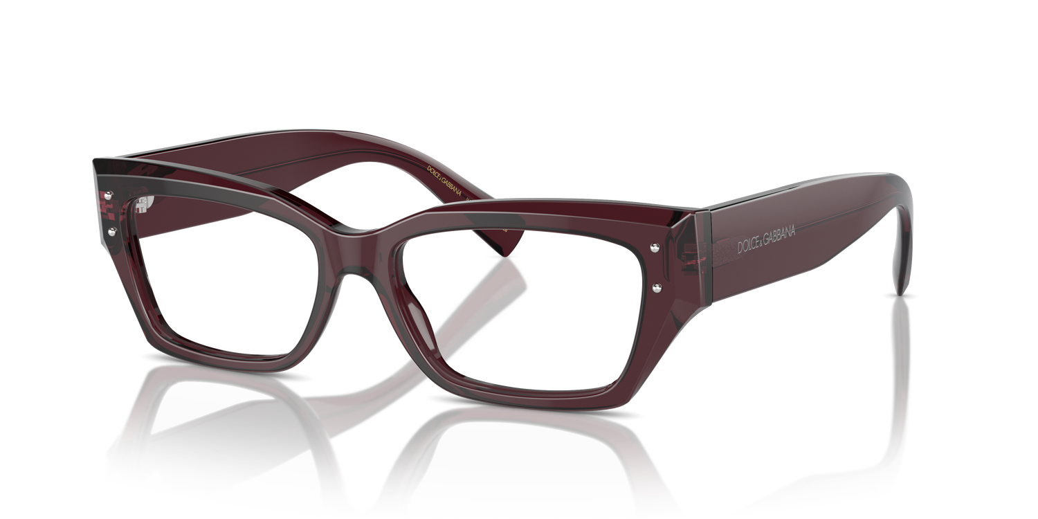 DOLCE &amp; GABBANA DG3387 3045 51