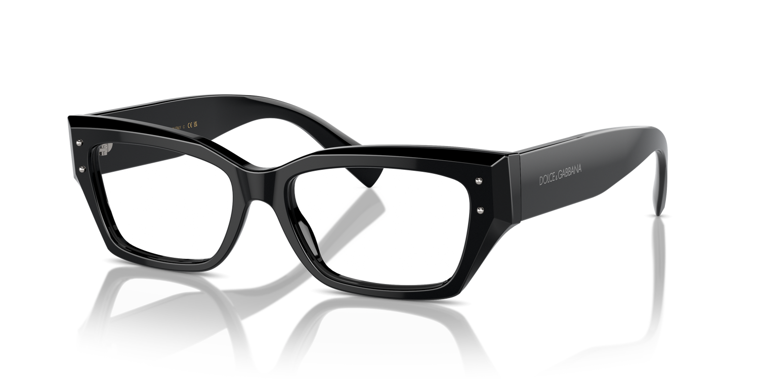 DOLCE &amp; GABBANA DG3387 501 51