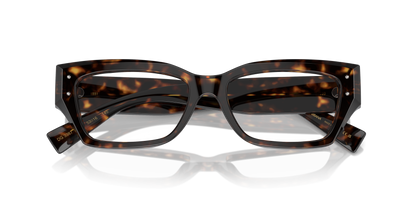 DOLCE &amp; GABBANA DG3387 502 53