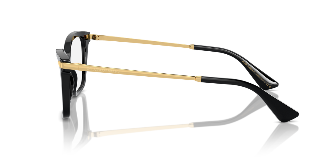 DOLCE &amp; GABBANA DG3393 501 54