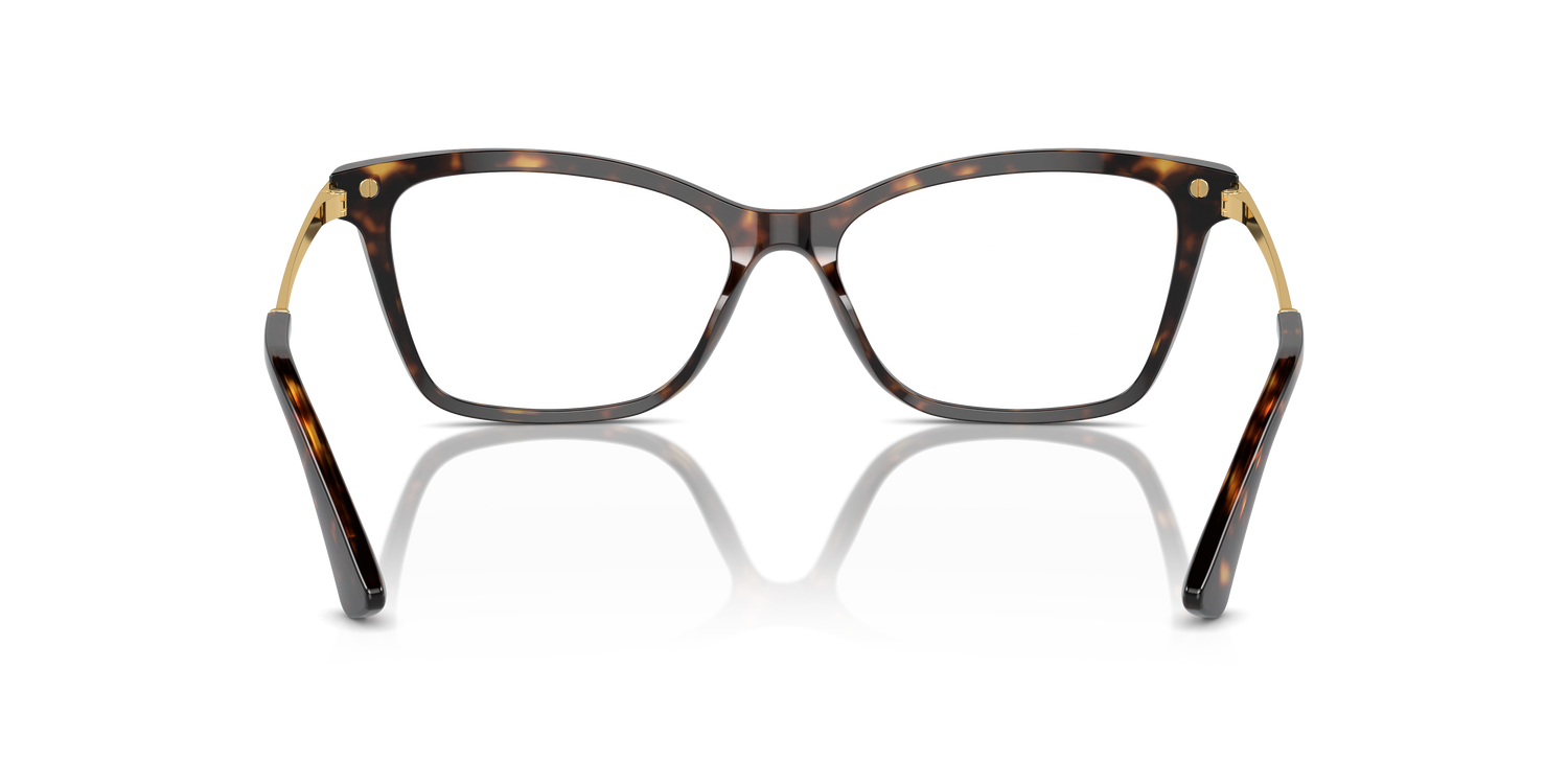 DOLCE &amp; GABBANA DG3393 502 54