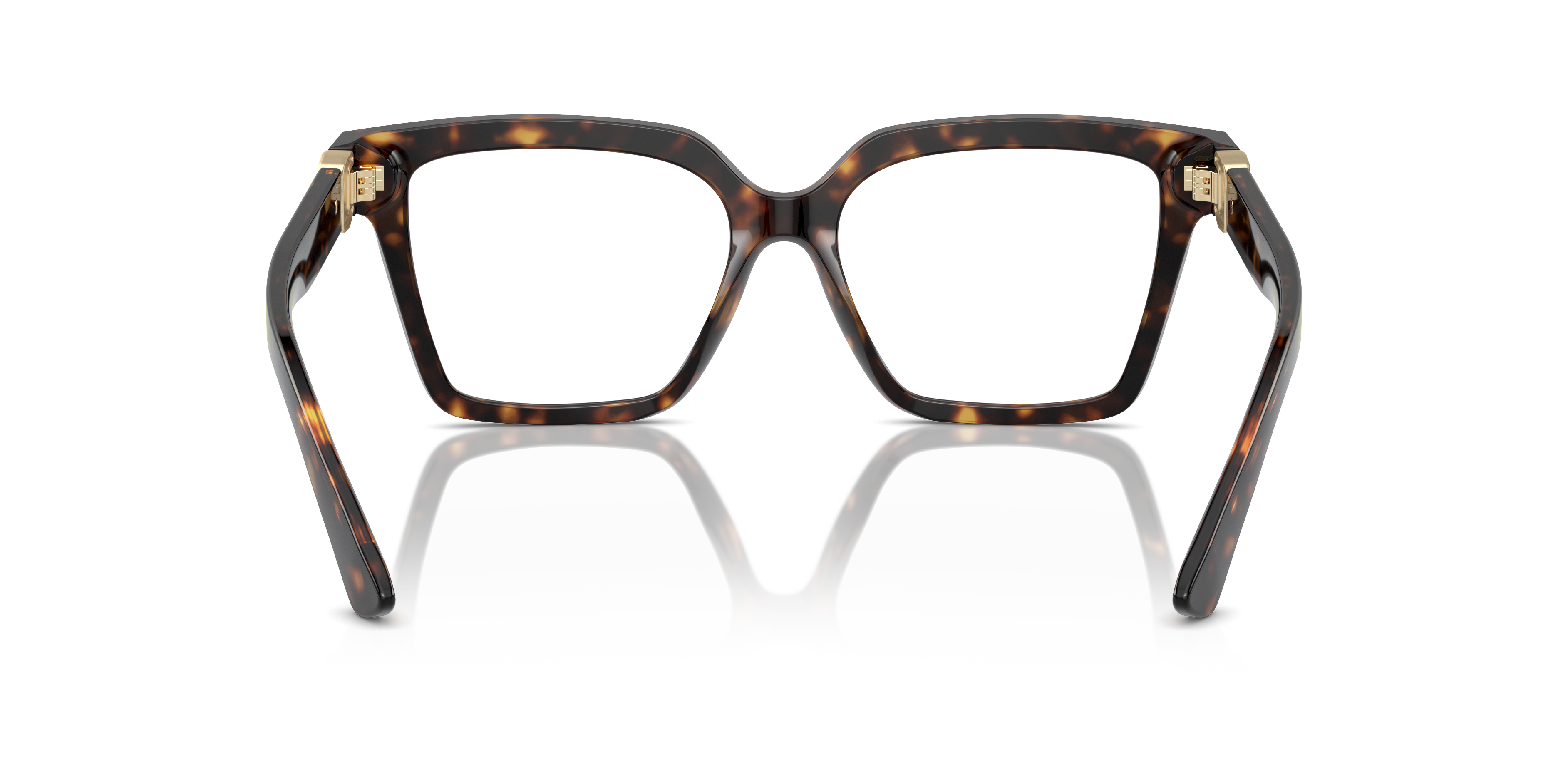 DOLCE &amp; GABBANA DG3395 502 53