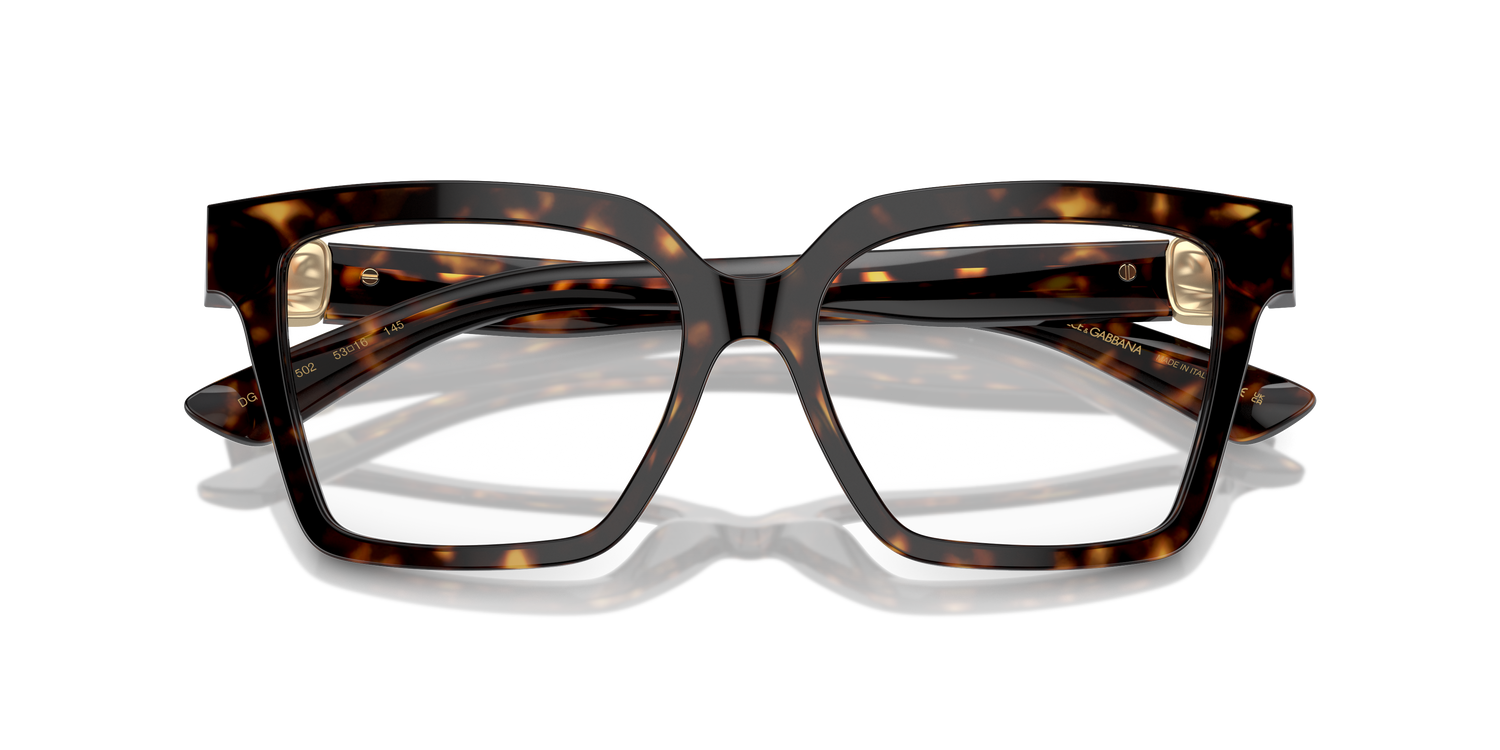 DOLCE &amp; GABBANA DG3395 502 51