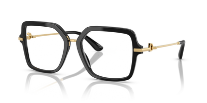 DOLCE &amp; GABBANA DG3396 501 55