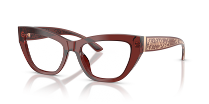 DOLCE &amp; GABBANA DG3412 3045 53