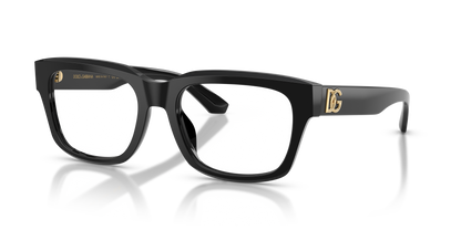 DOLCE &amp; GABBANA DG3416 501 55