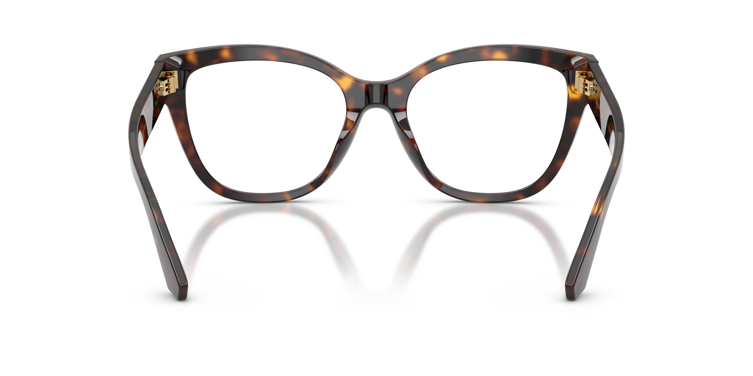 DOLCE &amp; GABBANA DG3418 502 53