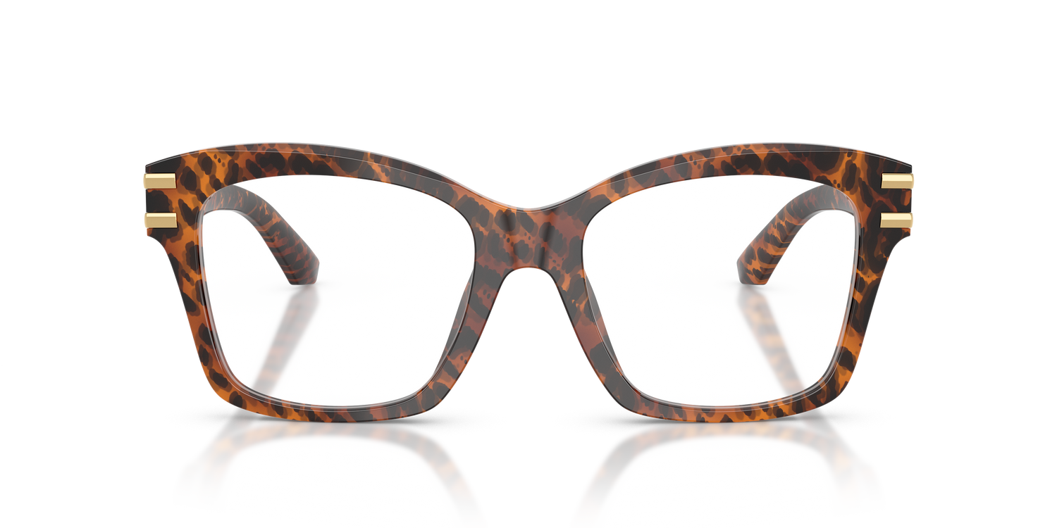 DOLCE &amp; GABBANA DG3419 3470 54