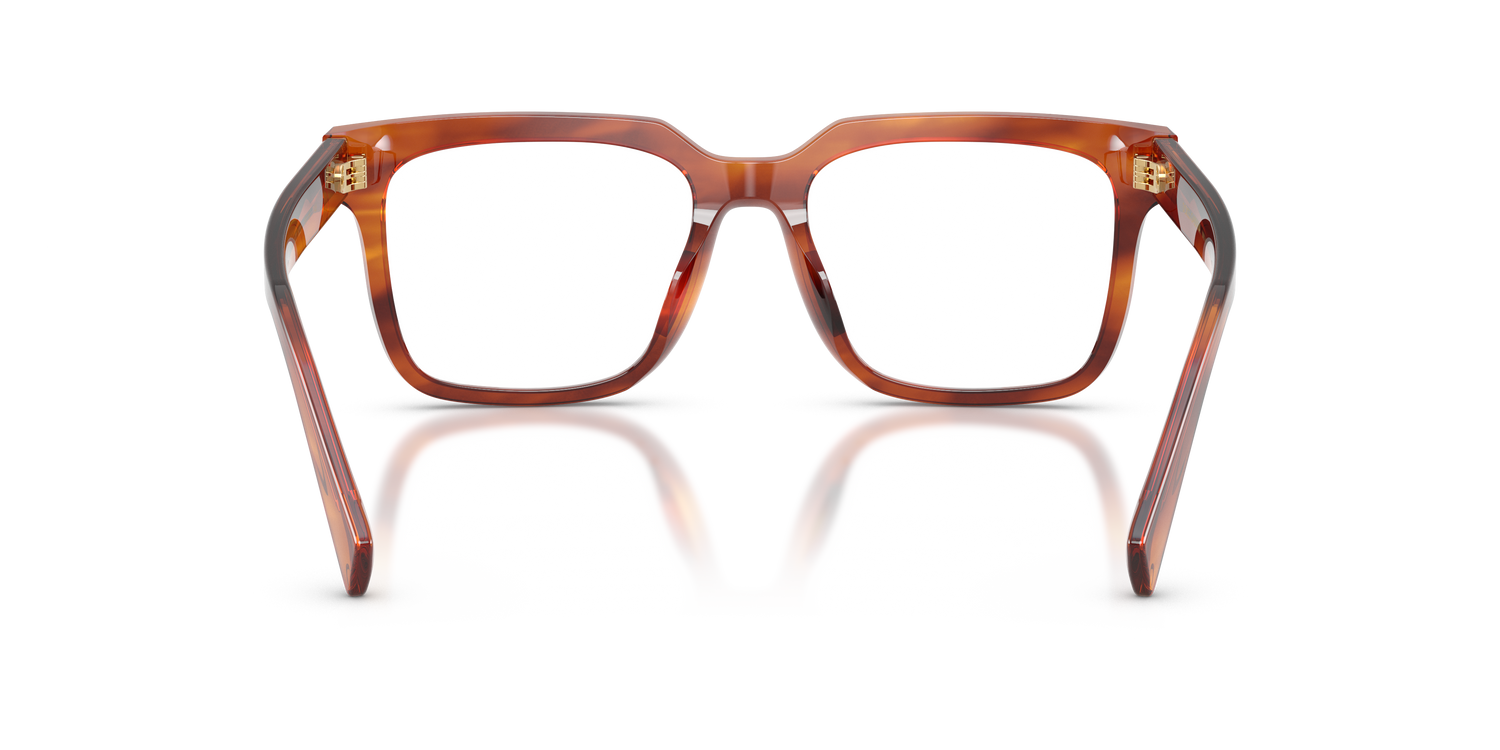 DOLCE &amp; GABBANA DG3422 3221 51