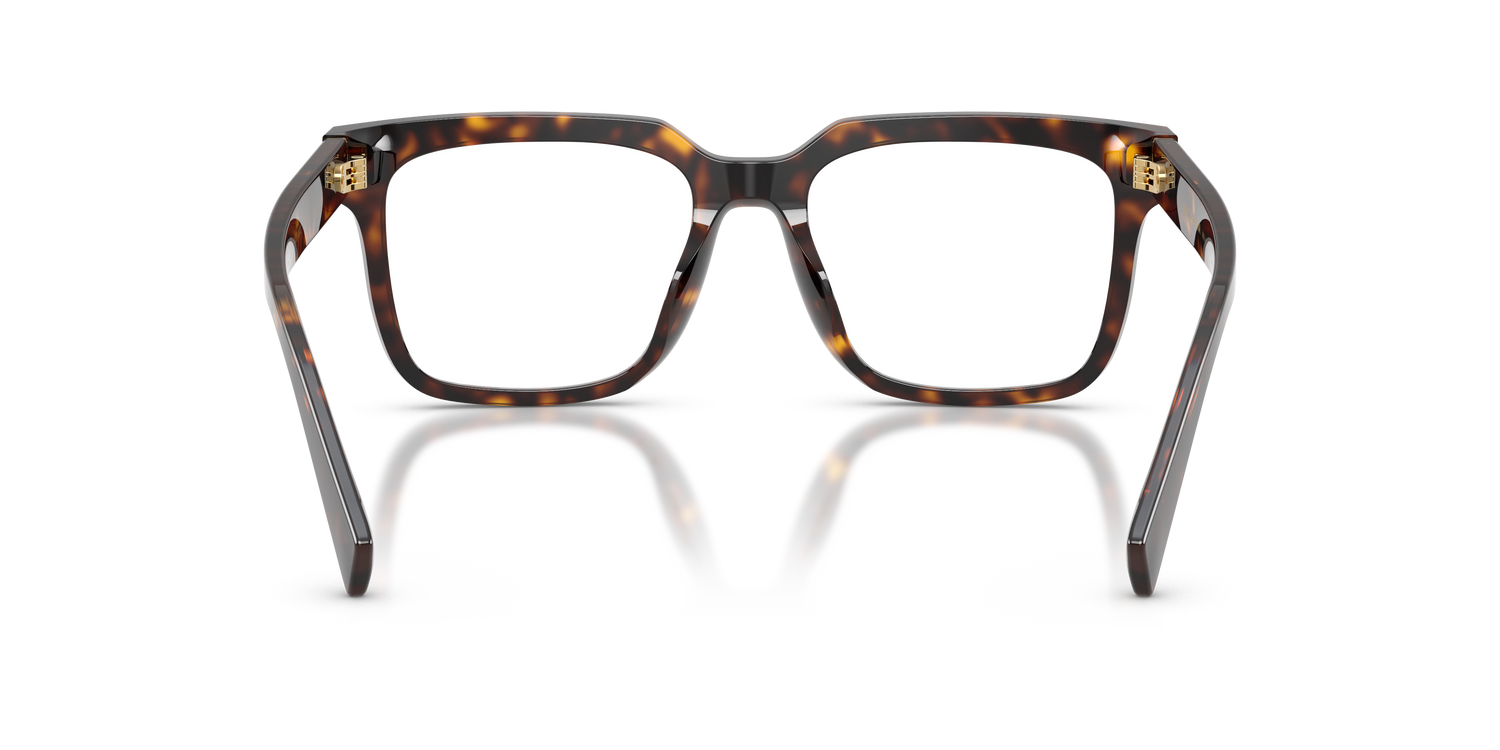 DOLCE &amp; GABBANA DG3422 502 53