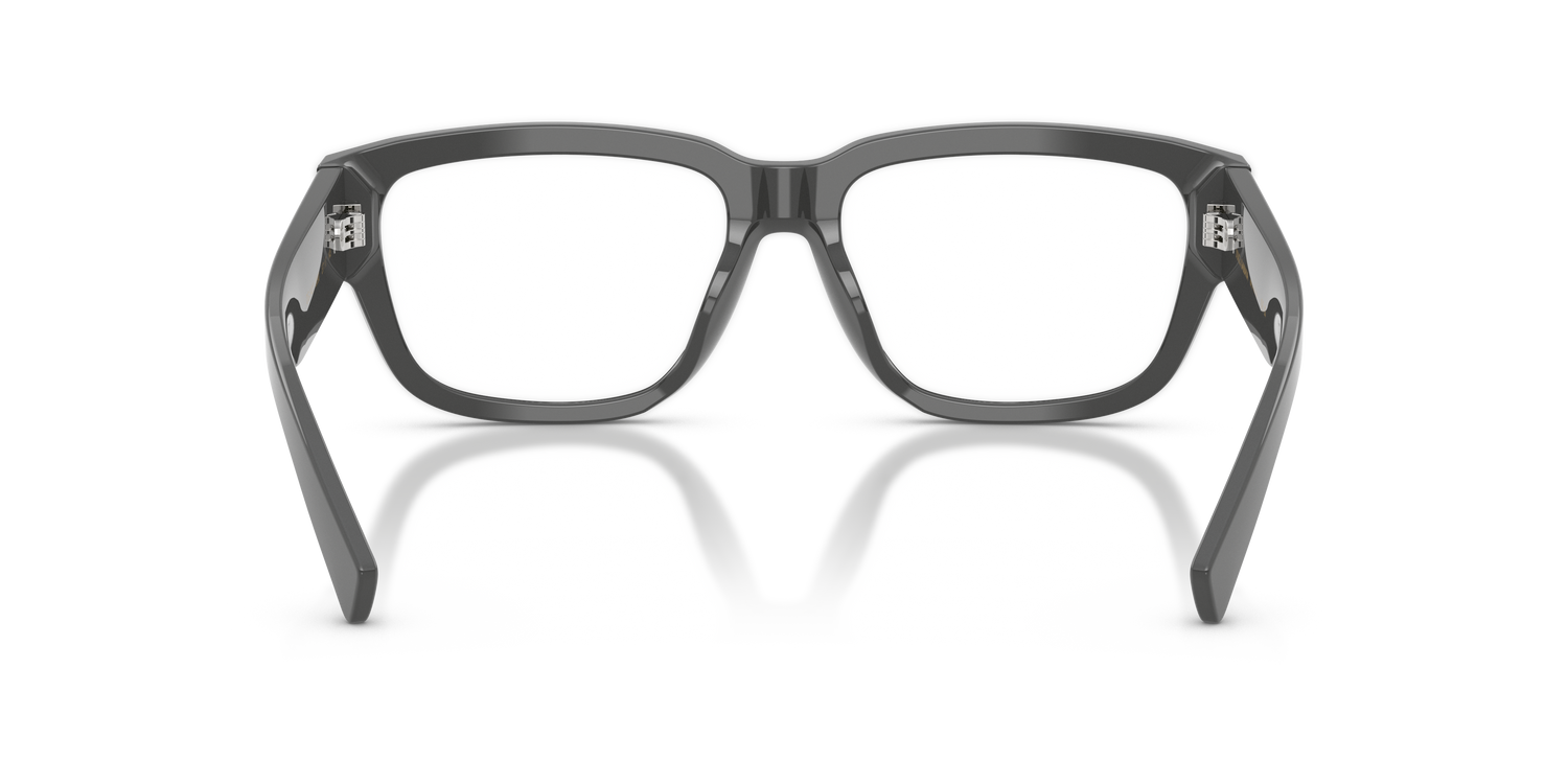 DOLCE &amp; GABBANA DG3423 3090 55