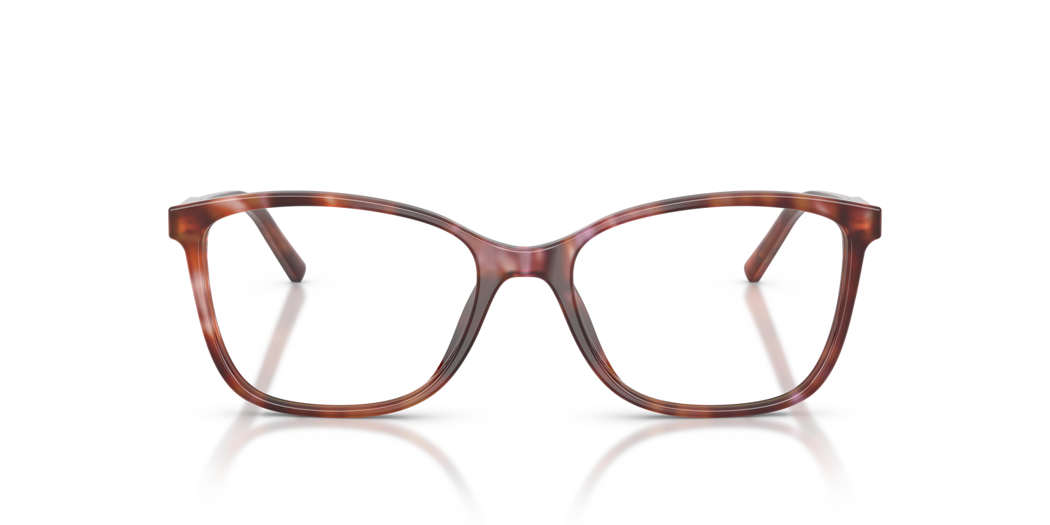 DOLCE &amp; GABBANA DG3424 3444 54