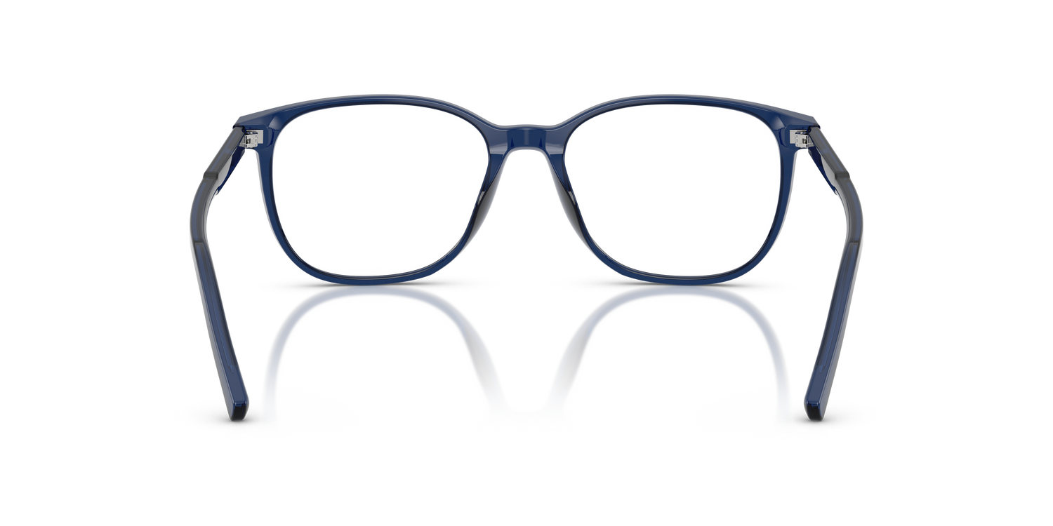 DOLCE &amp; GABBANA DG3426 3009 53