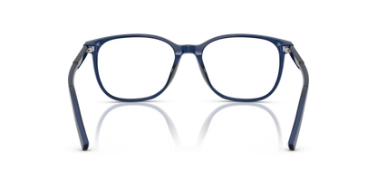 DOLCE &amp; GABBANA DG3426 3009 53