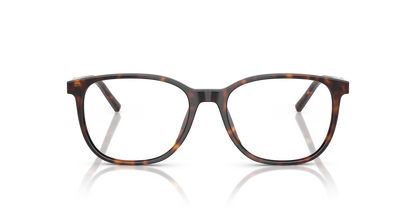 DOLCE &amp; GABBANA DG3426 502 53