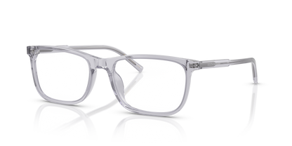 DOLCE &amp; GABBANA DG3427 3291 55