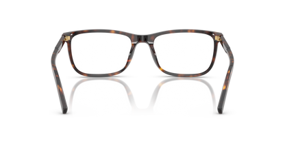 DOLCE &amp; GABBANA DG3427 502 53