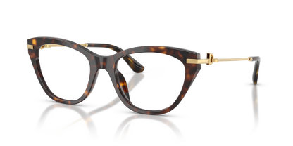 DOLCE &amp; GABBANA DG3428 502 53