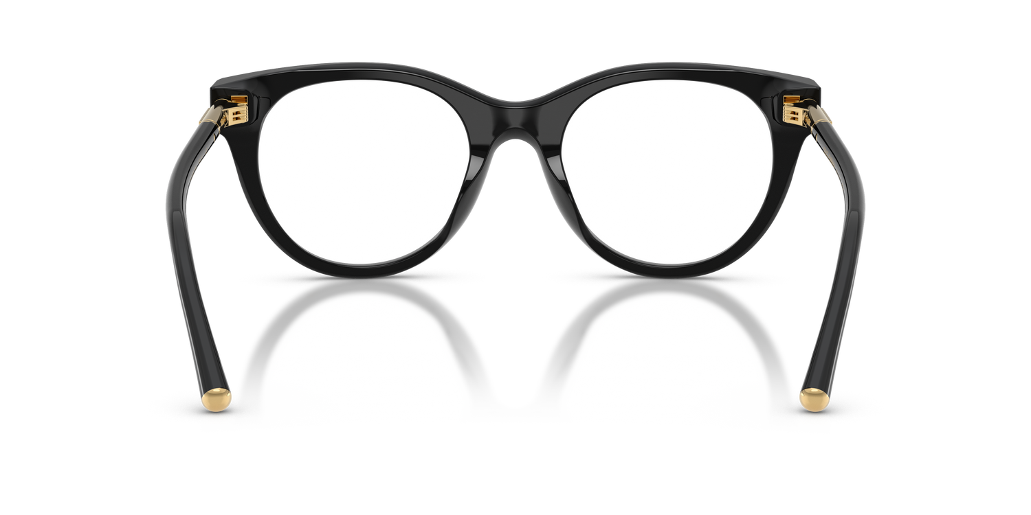 DOLCE &amp; GABBANA DG3433 501 53
