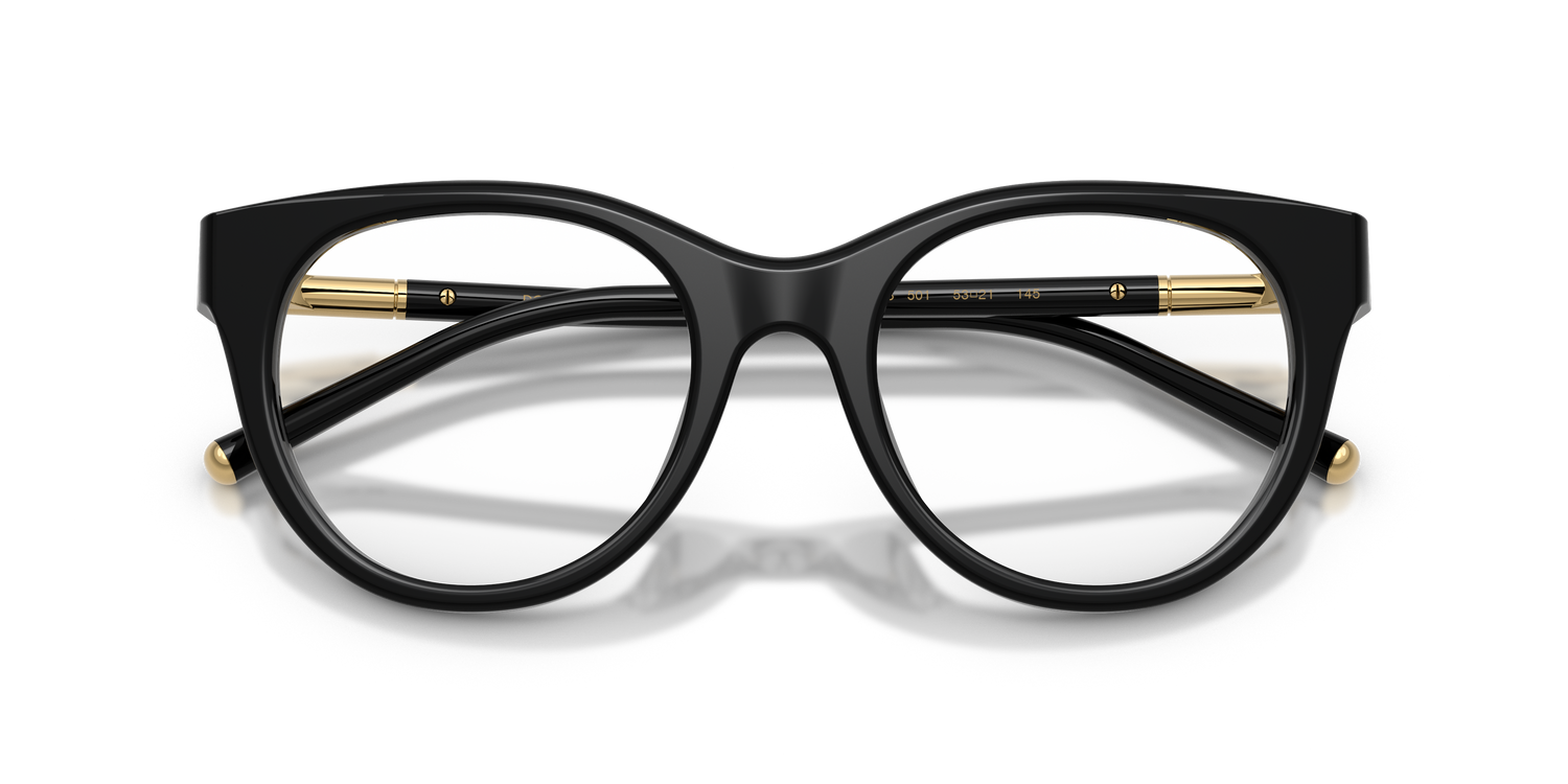 DOLCE &amp; GABBANA DG3433 501 53