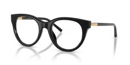 DOLCE &amp; GABBANA DG3433 501 51