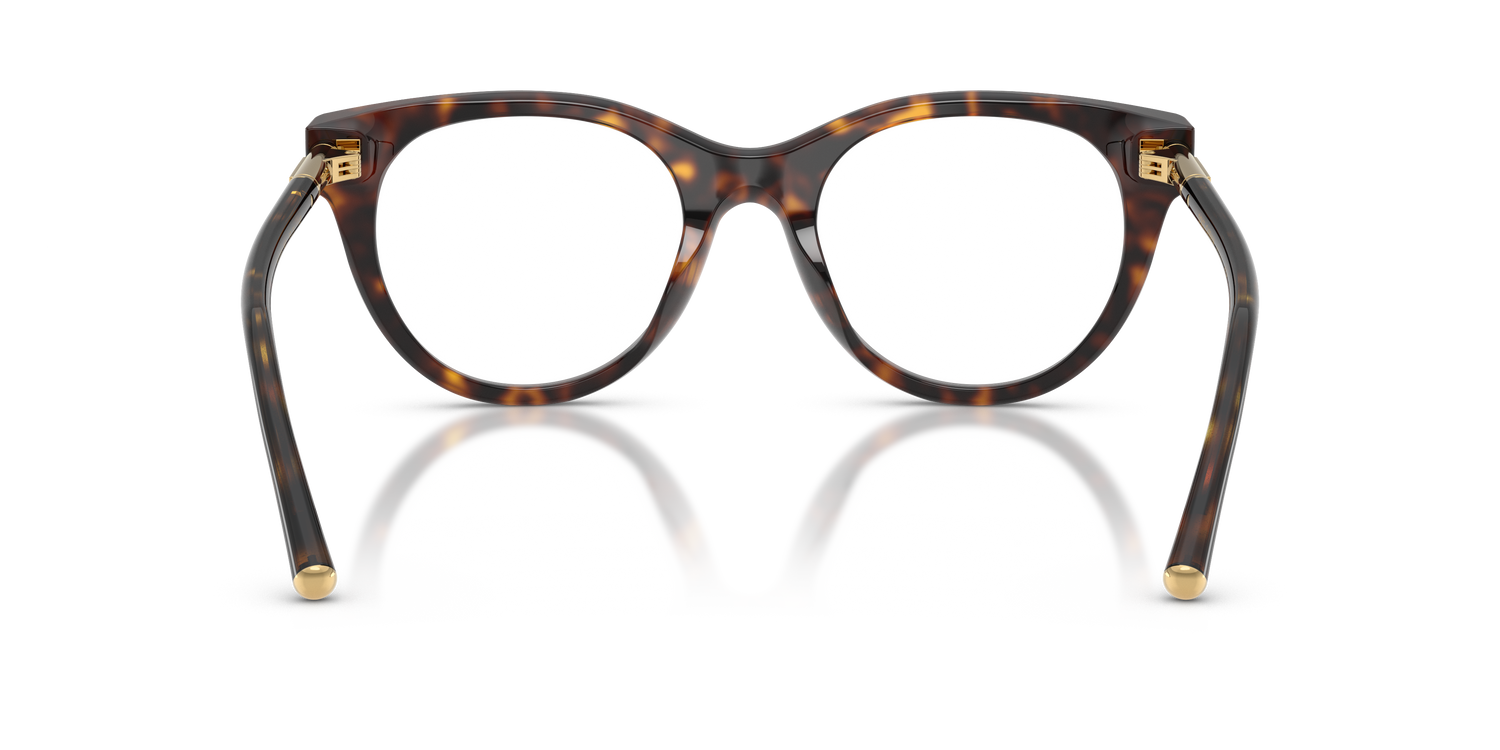 DOLCE &amp; GABBANA DG3433 502 51