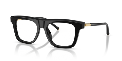 DOLCE &amp; GABBANA DG3434 501 51