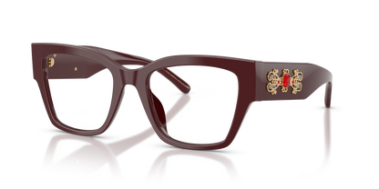 DOLCE &amp; GABBANA DG3435B 3091 51