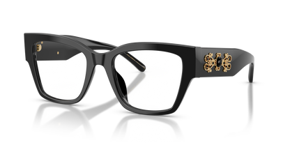 DOLCE &amp; GABBANA DG3435B 501 53