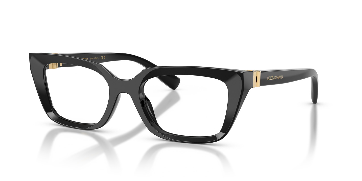 DOLCE &amp; GABBANA DG3436 501 53