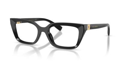 DOLCE &amp; GABBANA DG3436 501 53