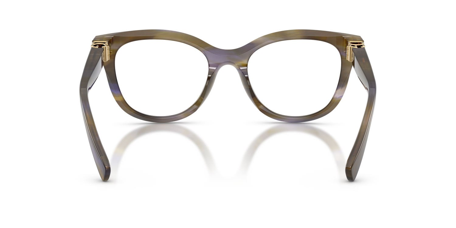 DOLCE &amp; GABBANA DG3437 3447 53
