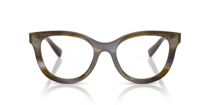 DOLCE &amp; GABBANA DG3437 3447 53