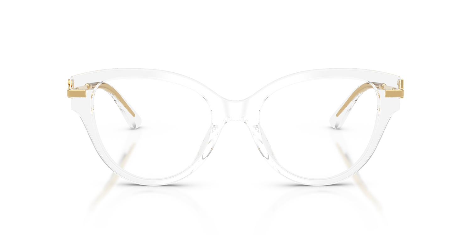 DOLCE &amp; GABBANA DG3438 3133 53